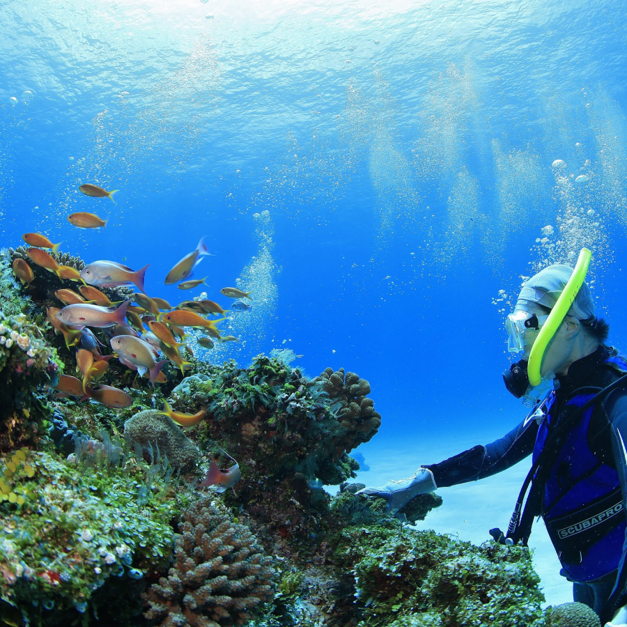 SCUBA PRO SHOPで、癒やしの水中散歩へ。