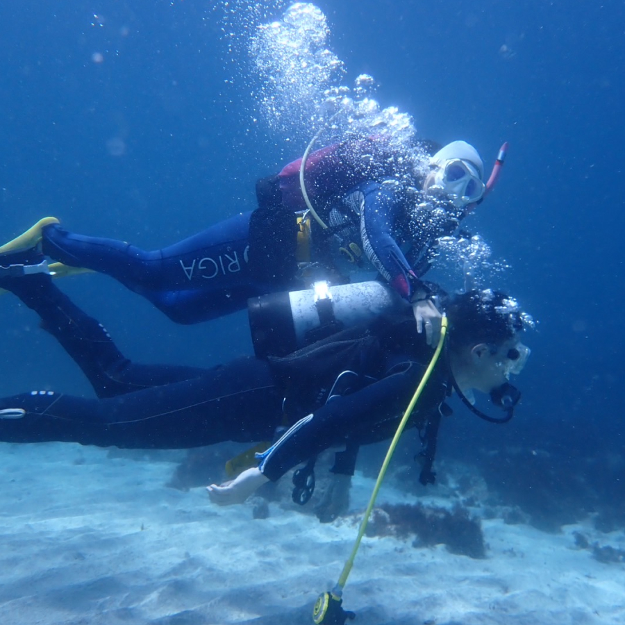都内プールでしっかり練習した後は、憧れの海へ！