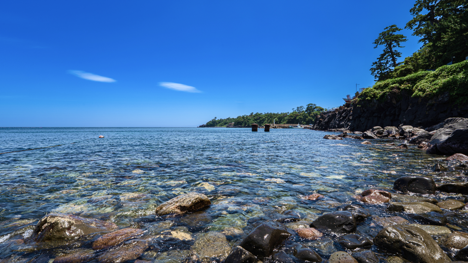 海写真