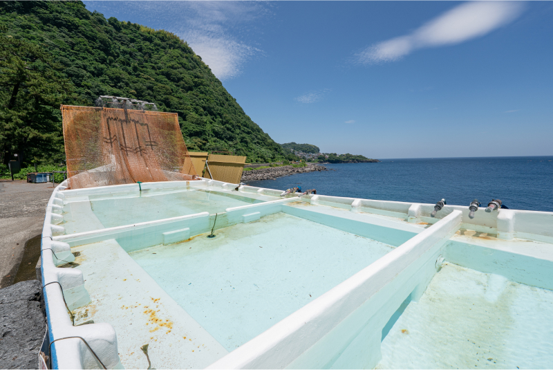ぽかぽか温泉丸