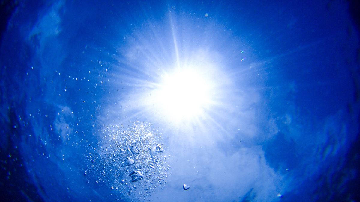太陽の光が降り注ぐ、きらめく水中世界。