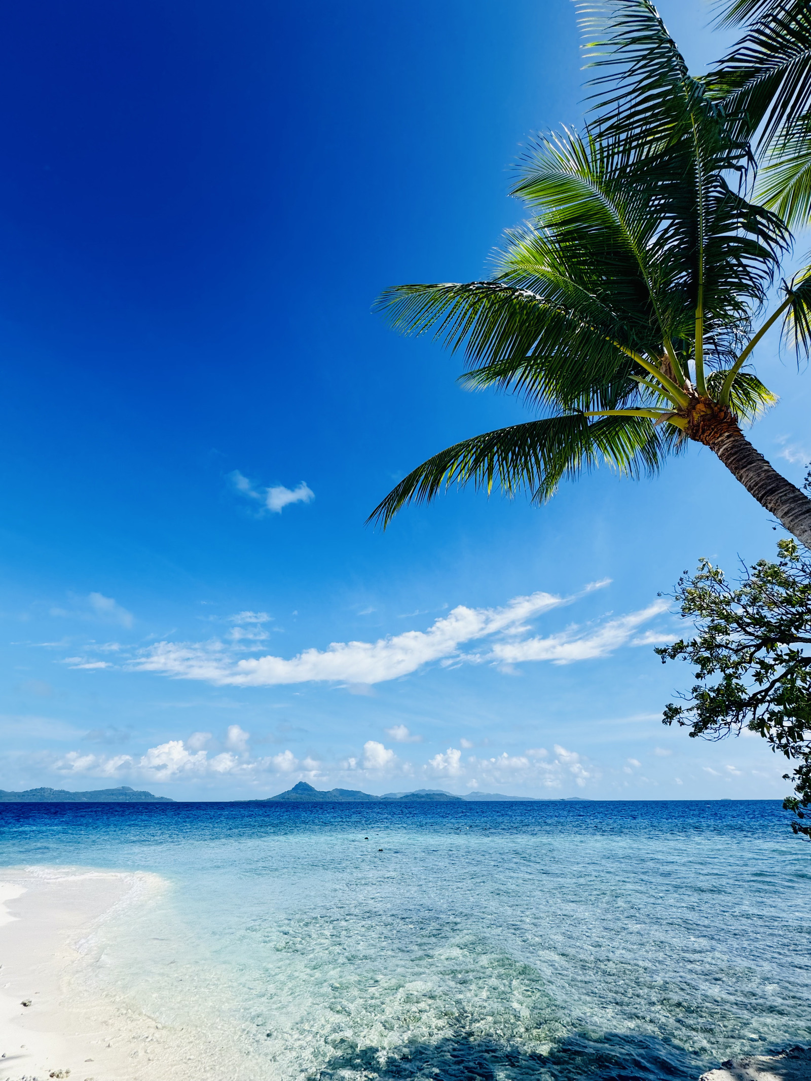 この美しい景色が広がる海で、最高のダイビングを。