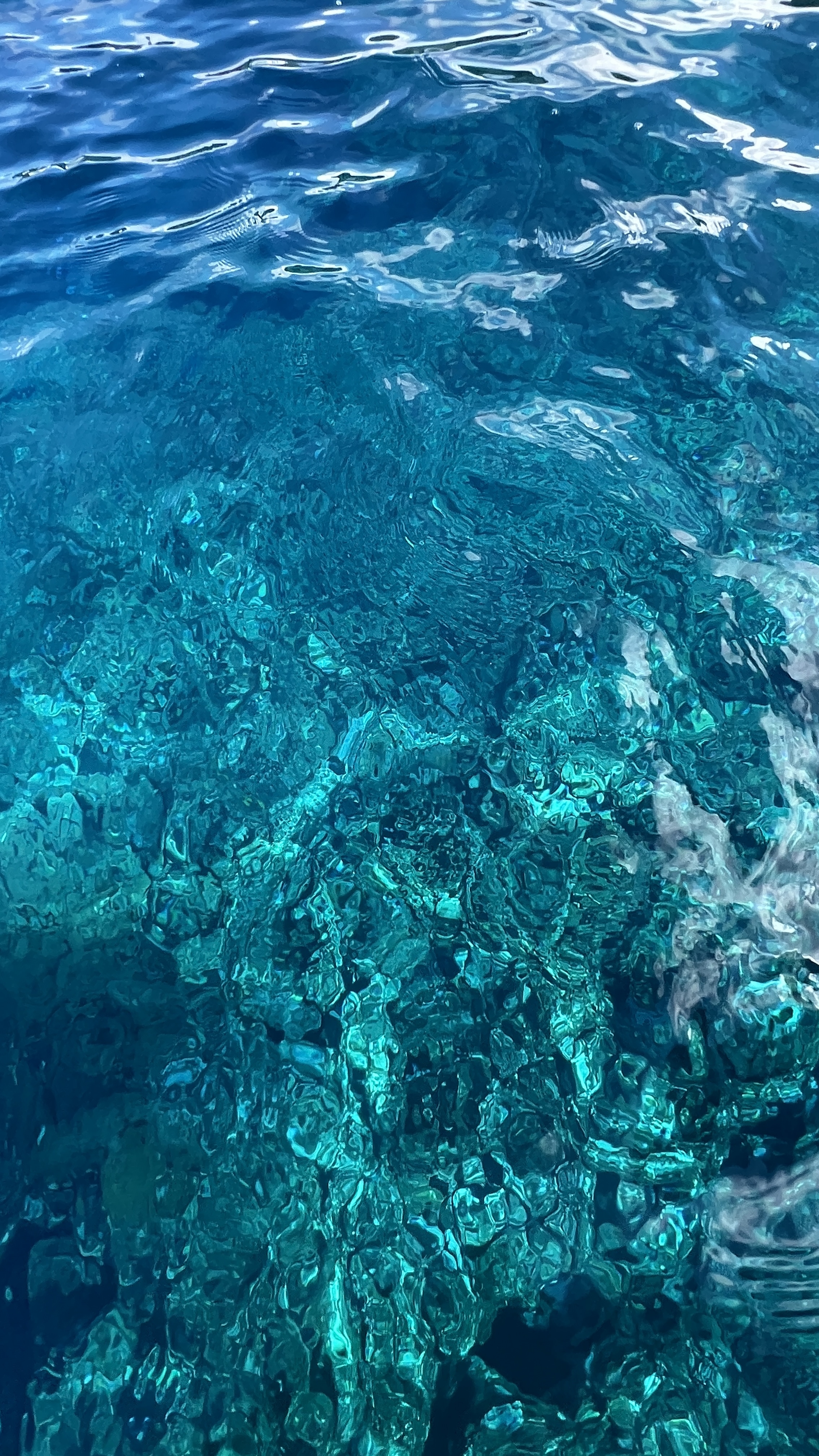 沖縄の美しい水中で、色とりどりの魚たちと出会いましょう！